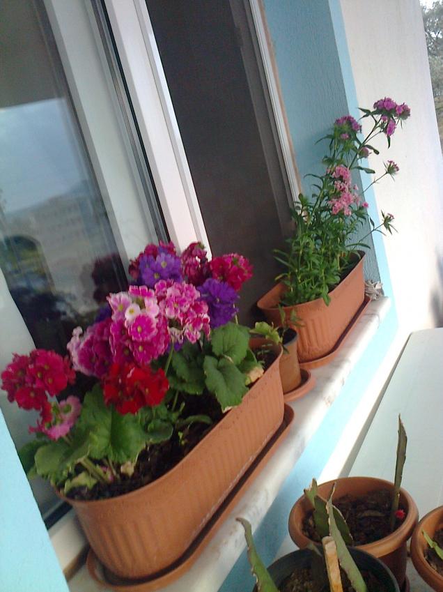 Name:  Fotoraf2538.jpg
Views: 668
Size:  70.5 KB