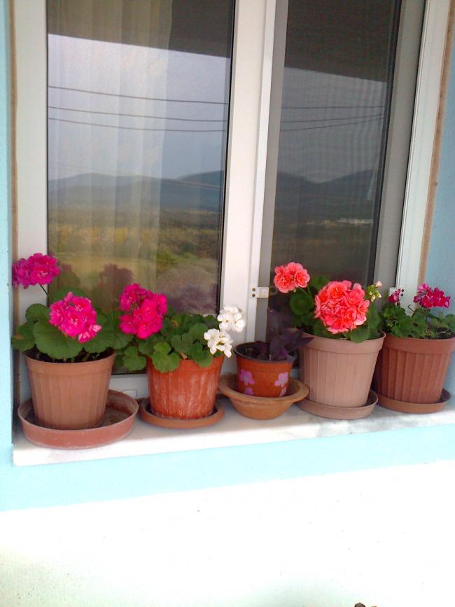 Name:  Fotoraf2542.jpg
Views: 649
Size:  53.9 KB