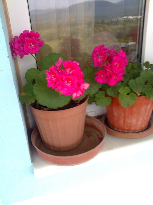 Name:  Fotoraf2543.jpg
Views: 691
Size:  51.0 KB