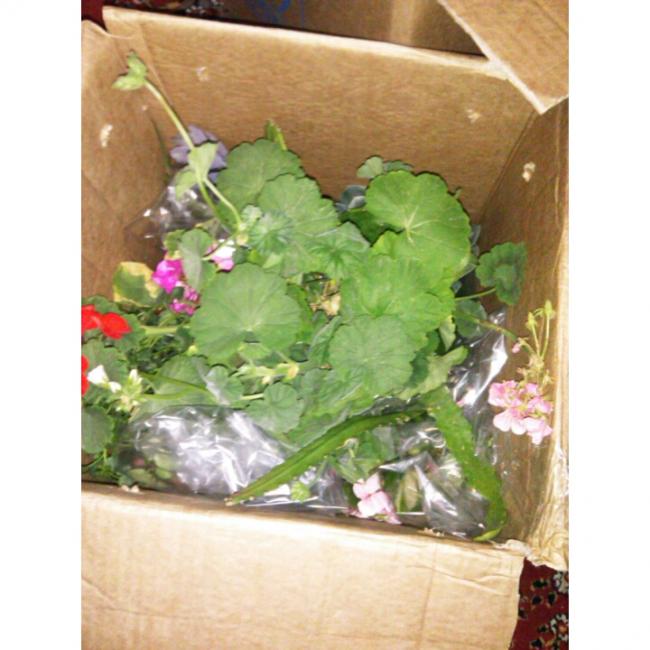 Name:  PhotoGrid_1431190178861.jpg
Views: 498
Size:  51.4 KB