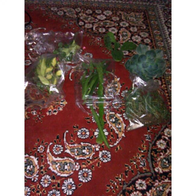 Name:  PhotoGrid_1431190218711.jpg
Views: 485
Size:  63.3 KB