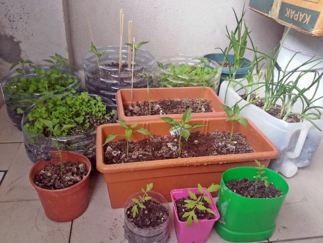 Name:  balkon.jpg
Views: 2667
Size:  59.5 KB