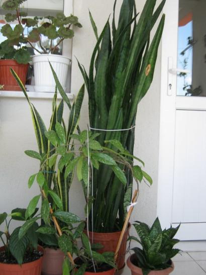Name:  ierdekiler.jpg
Views: 938
Size:  36.1 KB