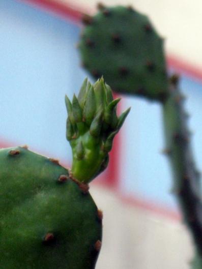 Name:  IMG_5091.jpg
Views: 1259
Size:  18.7 KB