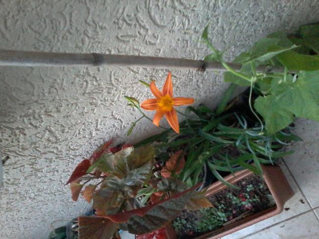 Name:  20150519_193501.jpg
Views: 295
Size:  56.9 KB