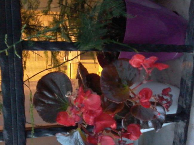 Name:  20150519_193507.jpg
Views: 279
Size:  41.8 KB