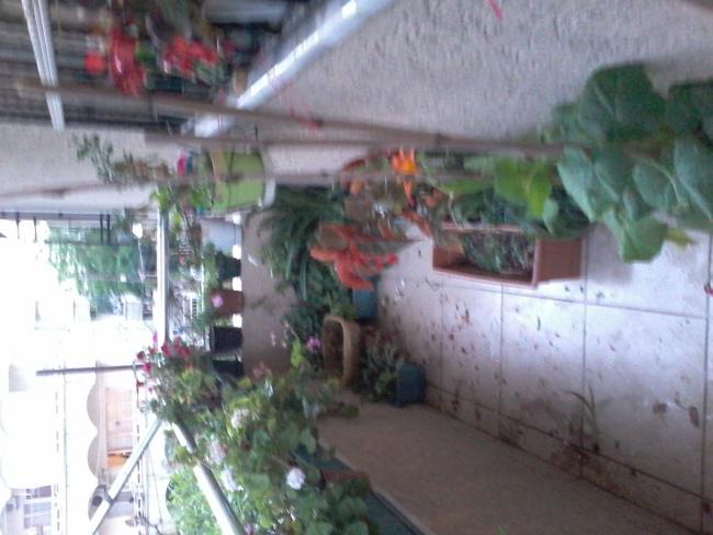 Name:  20150519_193539.jpg
Views: 280
Size:  43.4 KB