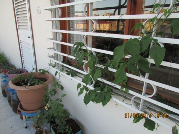Name:  IMG_0702.jpg
Views: 926
Size:  46.4 KB