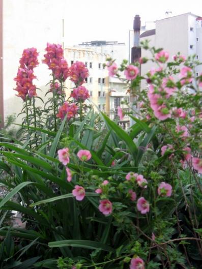 Name:  IMG_5338.jpg
Views: 821
Size:  40.2 KB