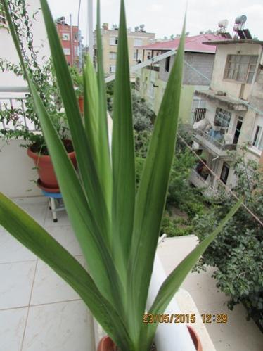 Name:  IMG_0719.jpg
Views: 919
Size:  33.1 KB