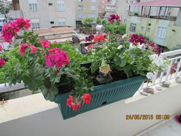 Name:  IMG_0747.jpg
Views: 900
Size:  48.3 KB