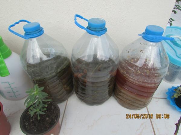 Name:  IMG_0750.jpg
Views: 881
Size:  33.1 KB