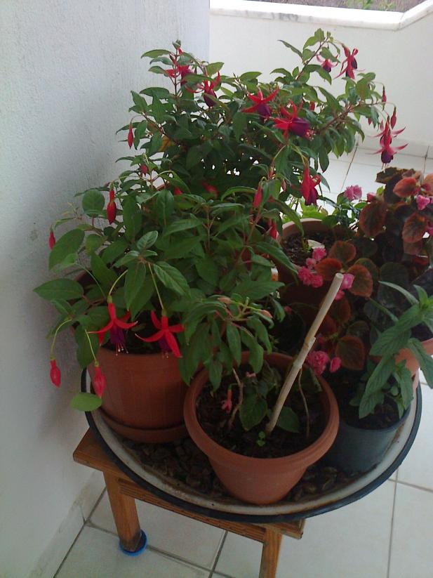 Name:  Fotoraf2856.jpg
Views: 549
Size:  71.0 KB