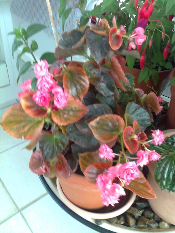 Name:  Fotoraf2875.jpg
Views: 545
Size:  72.3 KB