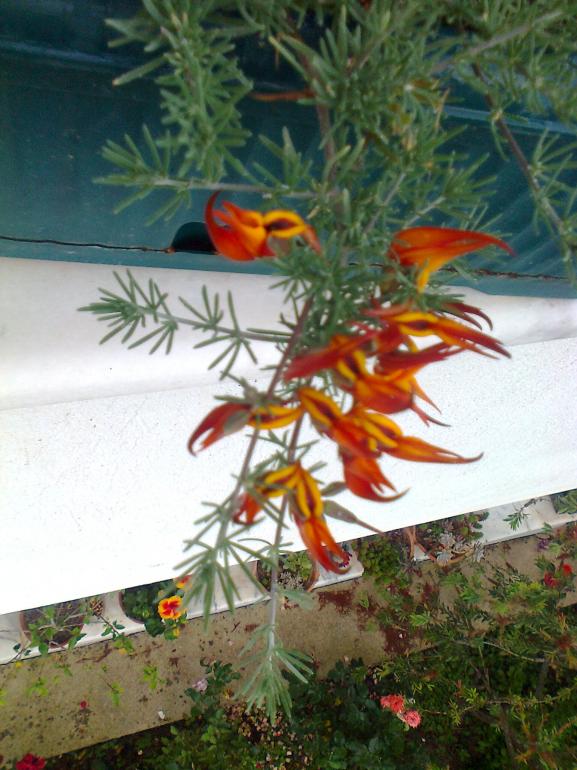 Name:  Fotoraf2864.jpg
Views: 536
Size:  72.8 KB