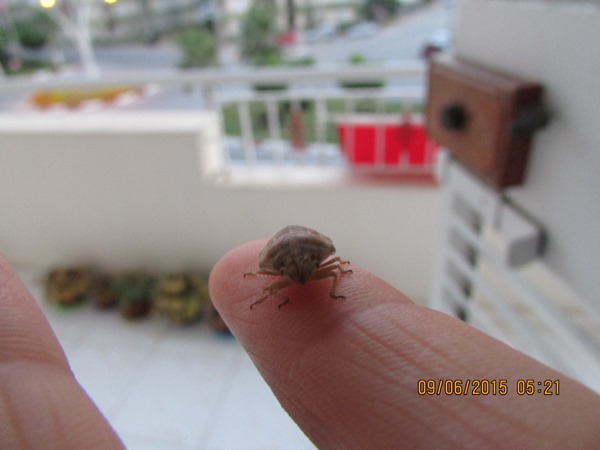 Name:  SD Kart 319.jpg
Views: 692
Size:  56.7 KB