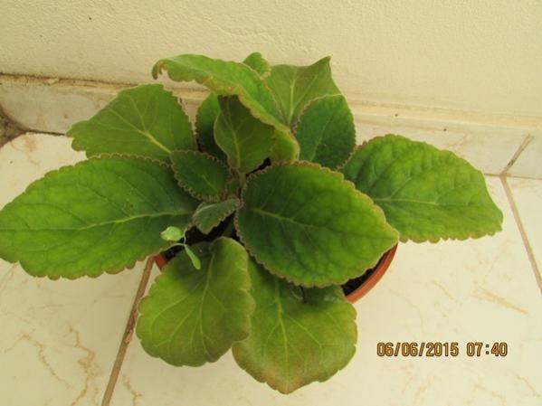 Name:  SD Kart 170.jpg
Views: 627
Size:  29.8 KB