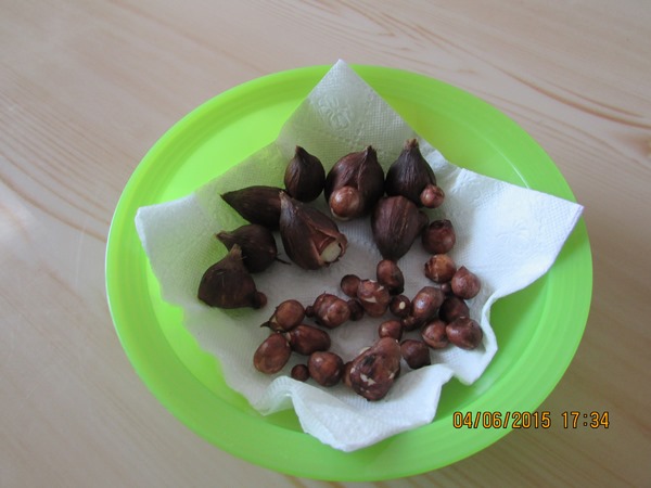 Name:  SD Kart 148.jpg
Views: 740
Size:  66.2 KB