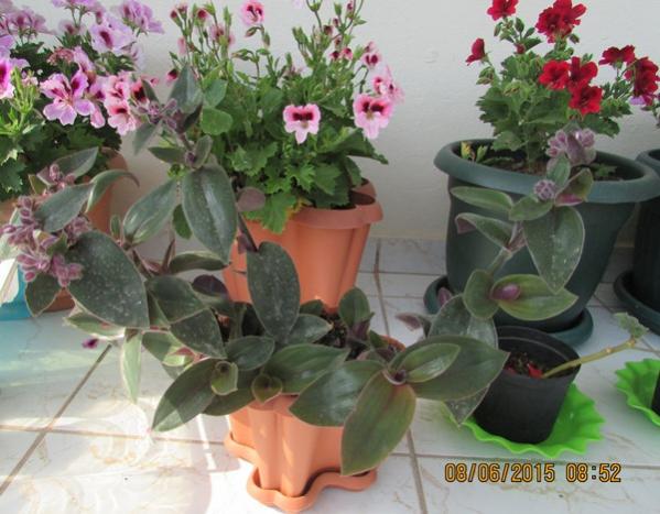 Name:  SD Kart 308.jpg
Views: 752
Size:  47.6 KB