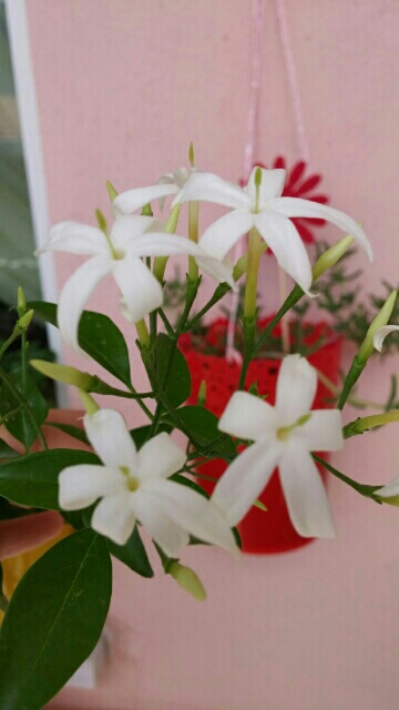 Name:  uploadfromtaptalk1434310130241.jpg
Views: 337
Size:  61.6 KB