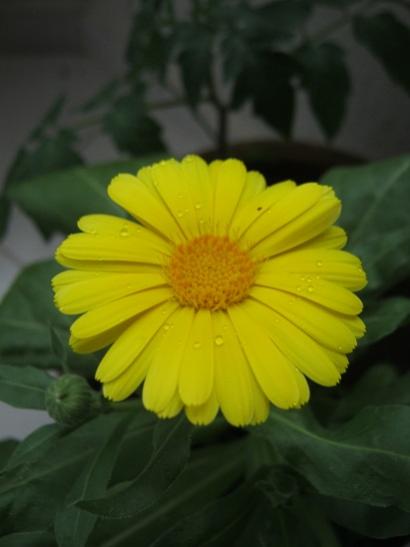 Name:  aynsafa.jpg
Views: 834
Size:  19.8 KB