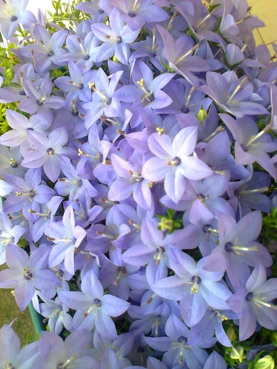 Name:  Fotoraf3012.jpg
Views: 799
Size:  75.1 KB
