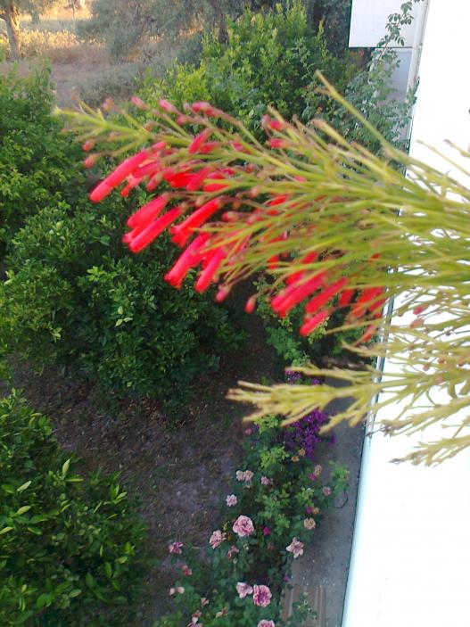 Name:  Fotoraf3004.jpg
Views: 695
Size:  74.5 KB