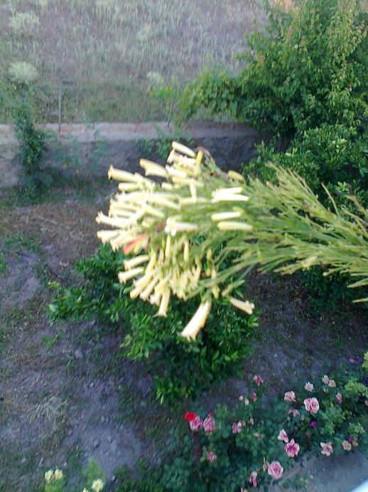 Name:  Fotoraf3003.jpg
Views: 689
Size:  75.1 KB