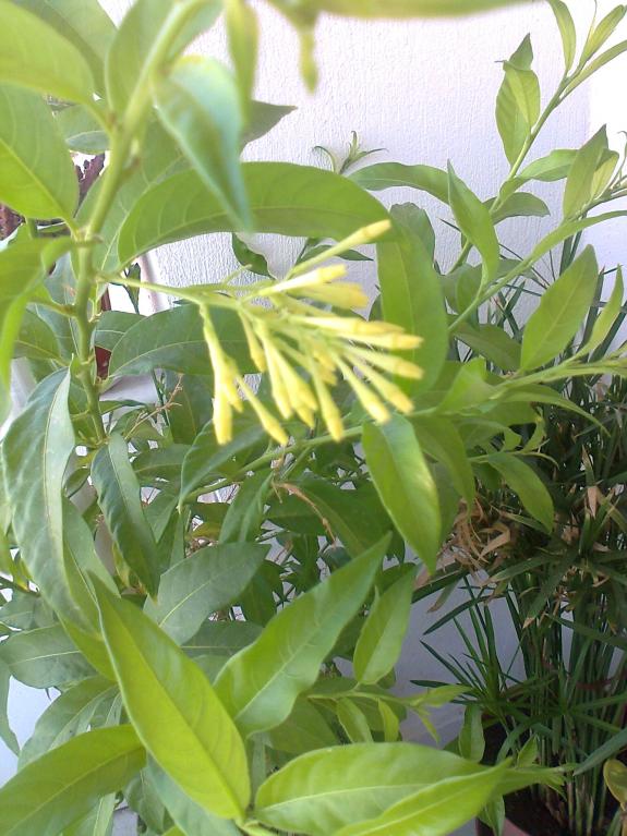Name:  Fotoraf3022.jpg
Views: 931
Size:  72.7 KB