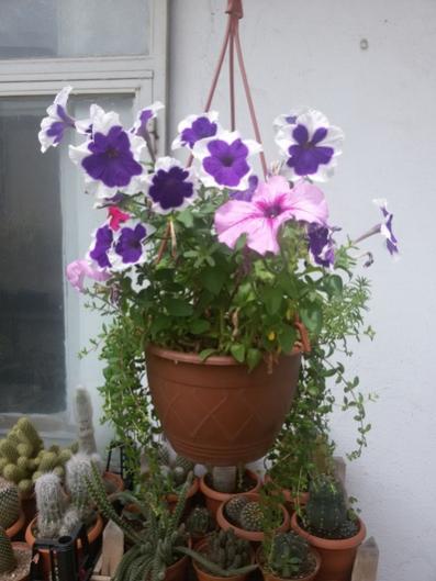 Name:  20150628_123845.jpg
Views: 504
Size:  32.5 KB