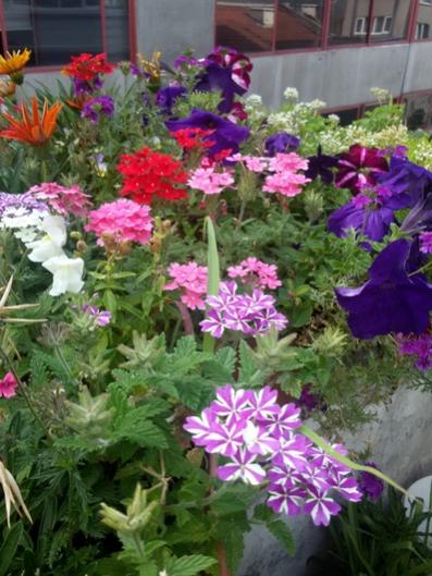 Name:  20150629_164019.jpg
Views: 509
Size:  46.7 KB