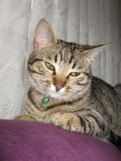 Name:  IMG_4926.jpg
Views: 991
Size:  31.3 KB