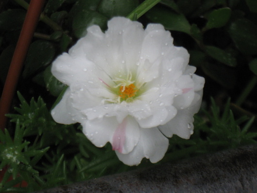 Name:  IMG_6185.JPG
Views: 960
Size:  64.7 KB