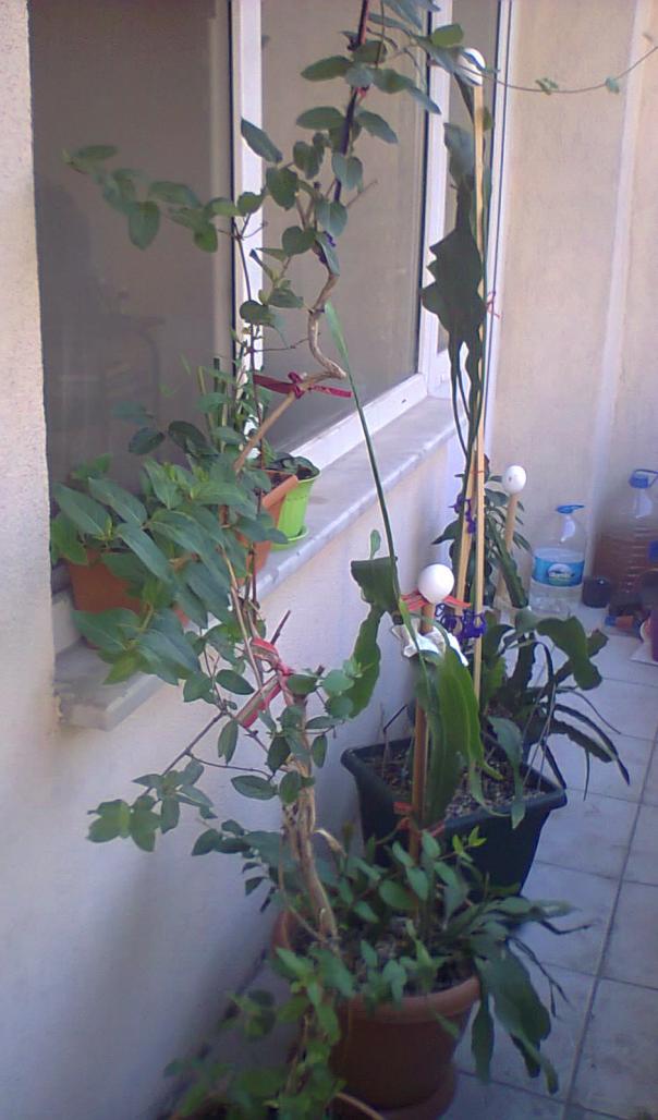 Name:  Genel.jpg
Views: 1497
Size:  71.9 KB