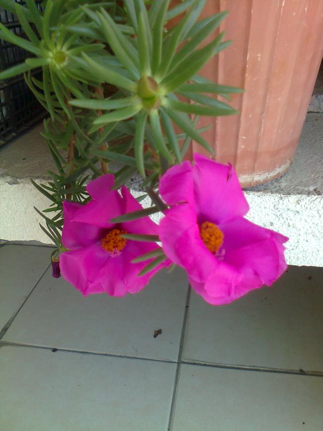 Name:  Fotoraf3087.jpg
Views: 588
Size:  57.2 KB