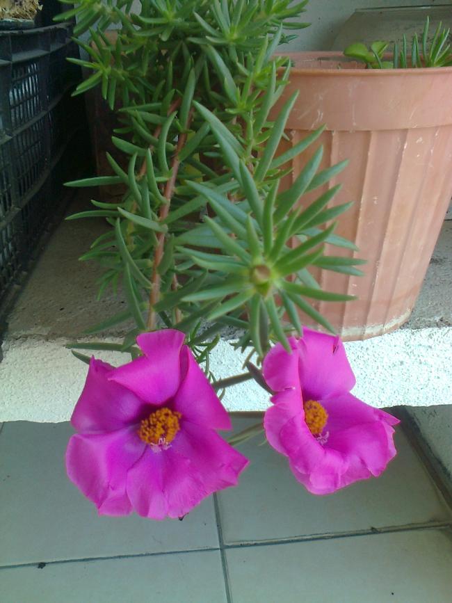 Name:  Fotoraf3088.jpg
Views: 616
Size:  68.7 KB