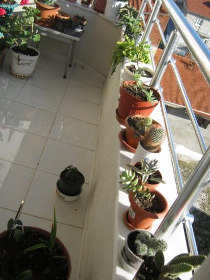 Name:  balkon kenar.jpg
Views: 778
Size:  37.5 KB