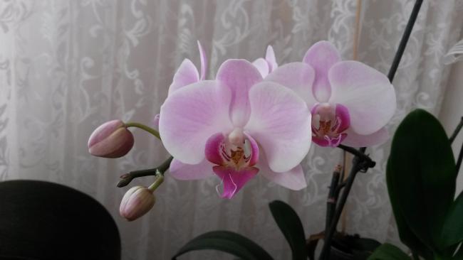 Name:  20150709_183641.jpg
Views: 445
Size:  21.9 KB