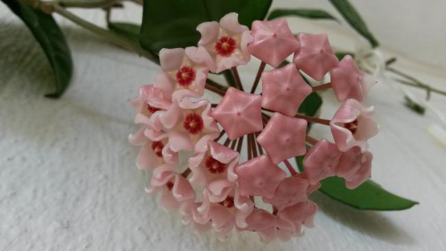 Name:  20150711_084843.jpg
Views: 476
Size:  25.9 KB