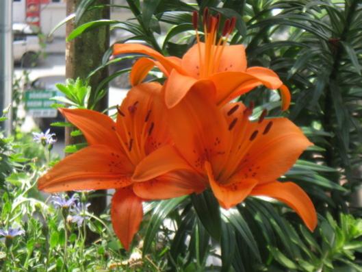 Name:  IMG_6144.jpg
Views: 717
Size:  39.8 KB