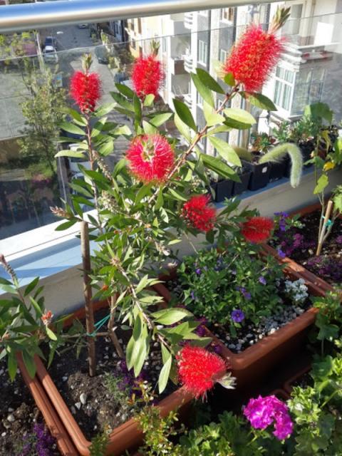 Name:  20150514_083406.jpg
Views: 485
Size:  71.3 KB