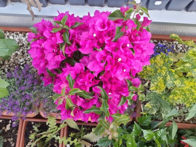 Name:  20150609_194010.jpg
Views: 469
Size:  70.9 KB