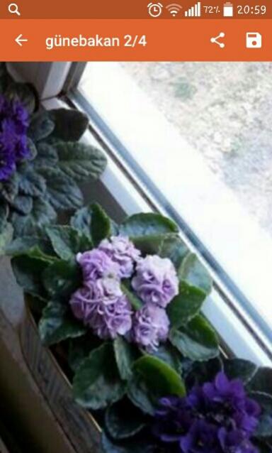 Name:  uploadfromtaptalk1437588192189.jpg
Views: 435
Size:  32.0 KB