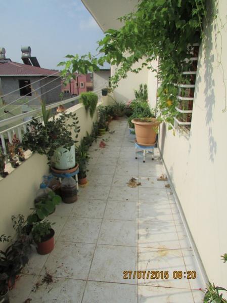 Name:  IMG_1723.jpg
Views: 612
Size:  40.4 KB