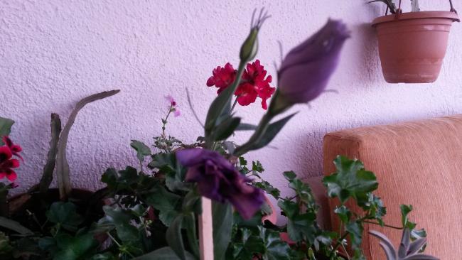 Name:  20150803_200746.jpg
Views: 423
Size:  40.4 KB