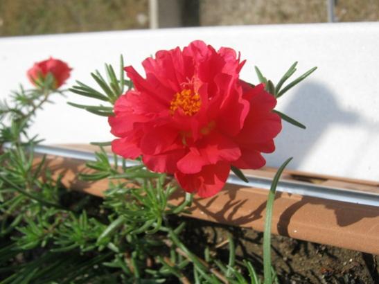 Name:  ipek.jpg
Views: 860
Size:  32.3 KB