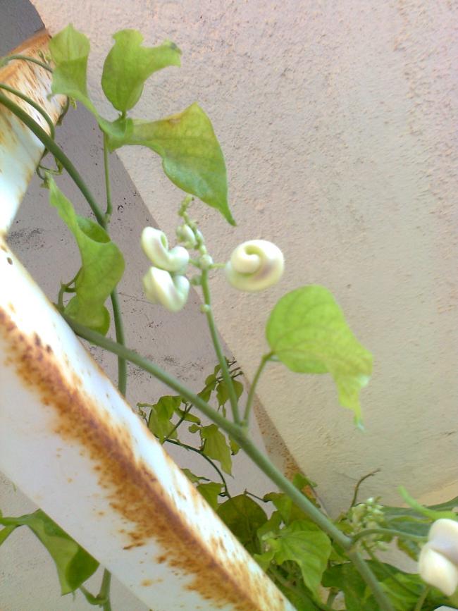 Name:  Fotoraf3266.jpg
Views: 543
Size:  67.9 KB