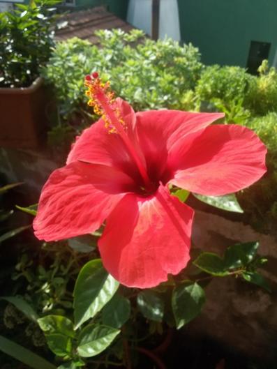 Name:  20150911_092053.jpg
Views: 950
Size:  31.5 KB