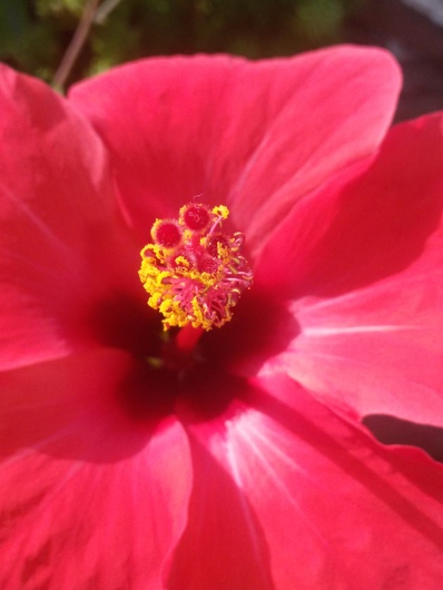 Name:  20150911_092114.jpg
Views: 1014
Size:  68.0 KB