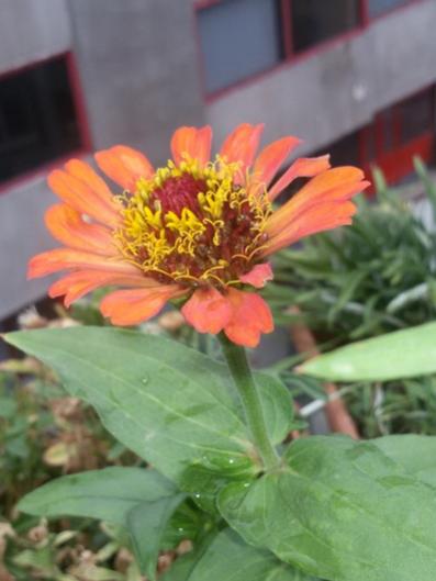 Name:  20150908_084414.jpg
Views: 720
Size:  26.7 KB